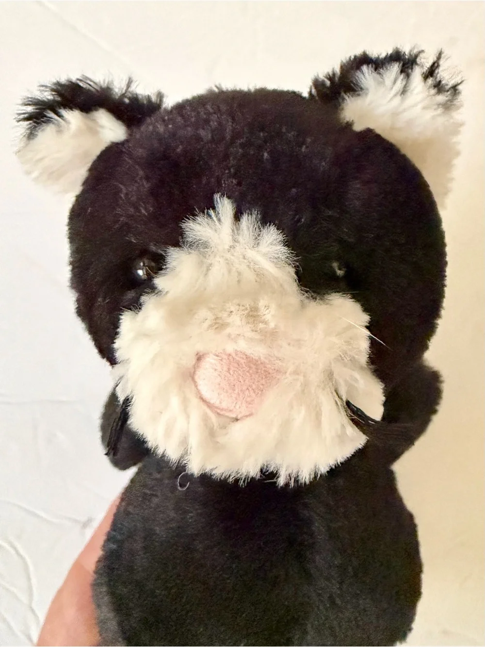 Jellycat Small Bashful Kitten Black and Cream Tuxedo Size 8